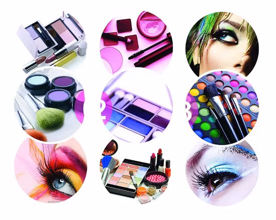 La boîte cosmétique adaptée aux besoins du client de palette de fard à paupières d'OEM composent l'emballage en plastique
